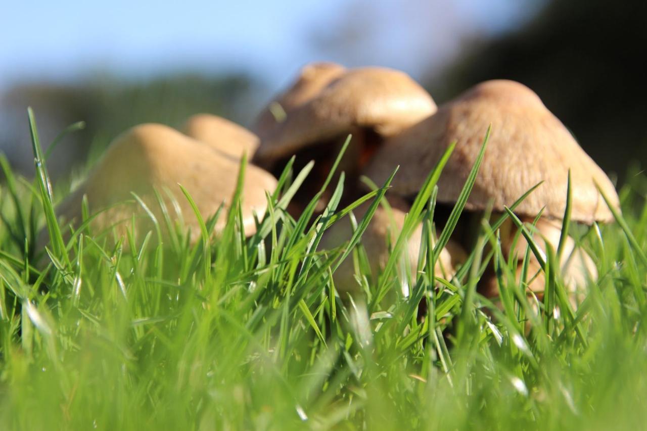 Naturia Chimay Zewnętrze zdjęcie